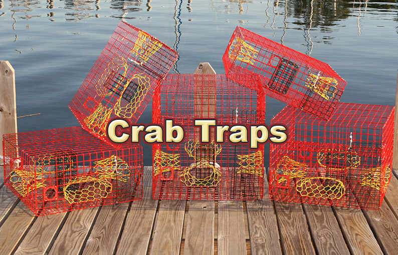 Noa Store Bait Trap for Fishing  Fish Traps, Minnow Traps, Catfish Trap, Pinfish  Trap, 9.25 H 5.51 L 5.91 W - City Market