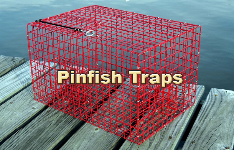 Catch Live Bait  Pinfish Traps, Live Bait Pens, Crab Traps, Vertical Jigs,  Rods & Reels
