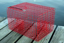 Offshore Pinfish Trap