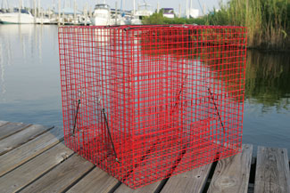 Trap Construction  Pinfish Traps, Live Bait Pens, Crab Traps